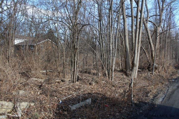 447 Consaul Road Schenectady, NY 12309 - Photo 3 of 5 Photo 3