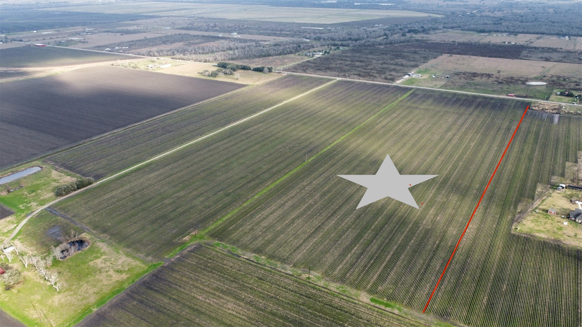 0 Barak Road Guy, TX 77444 - Photo 2 of 2