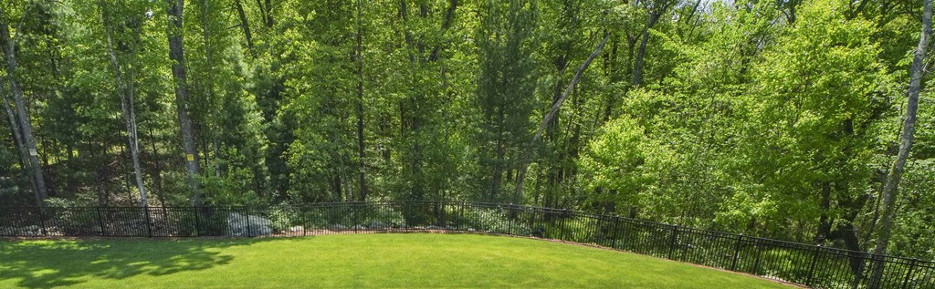 a view of backyard with green space
