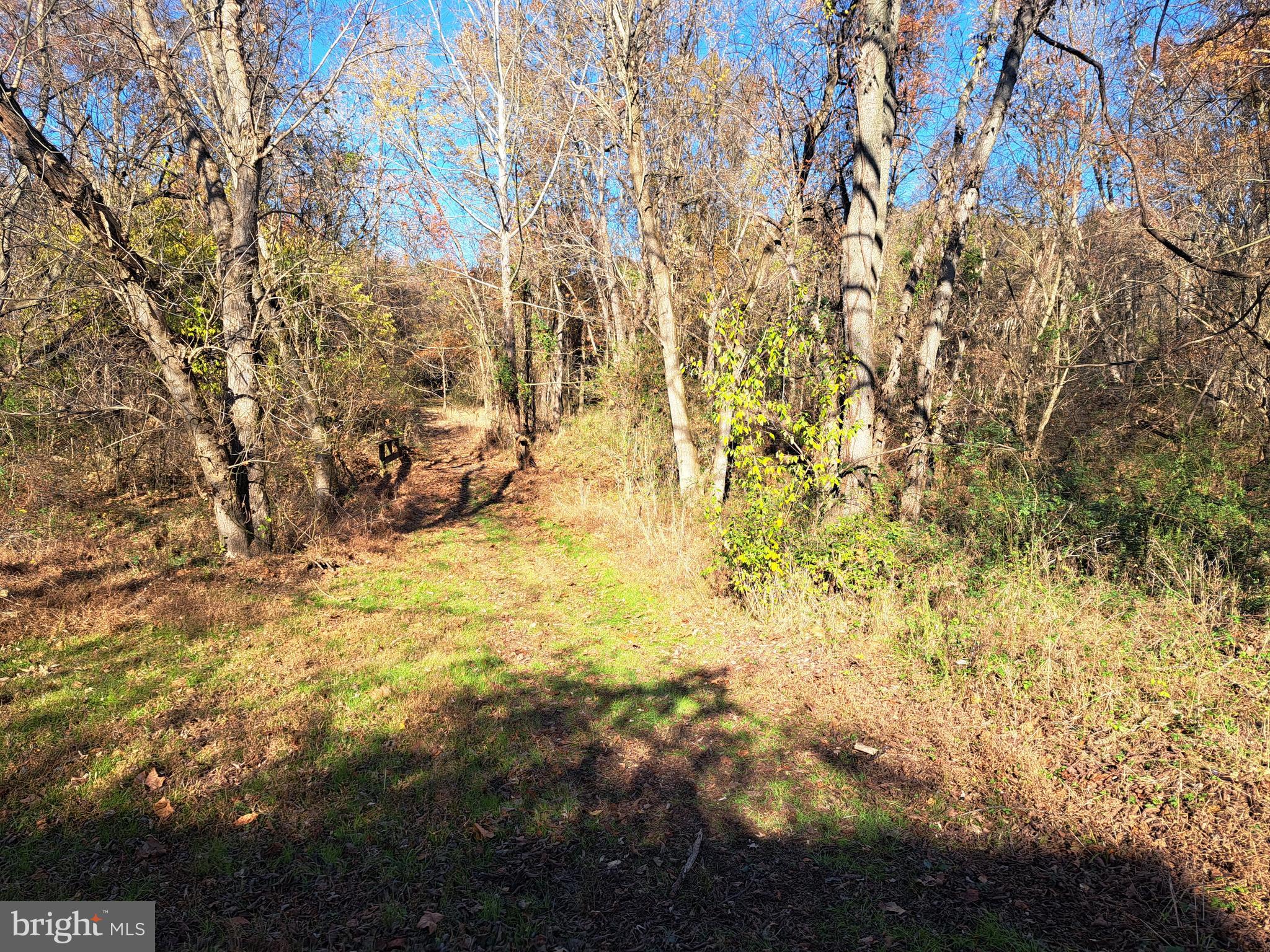 24401 River Road Dickerson, MD 20842 - Photo 15 of 43