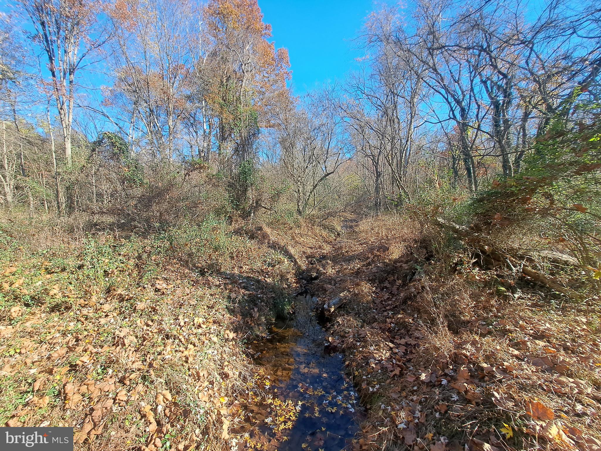24401 River Road Dickerson, MD 20842 - Photo 18 of 43 a view of a yard