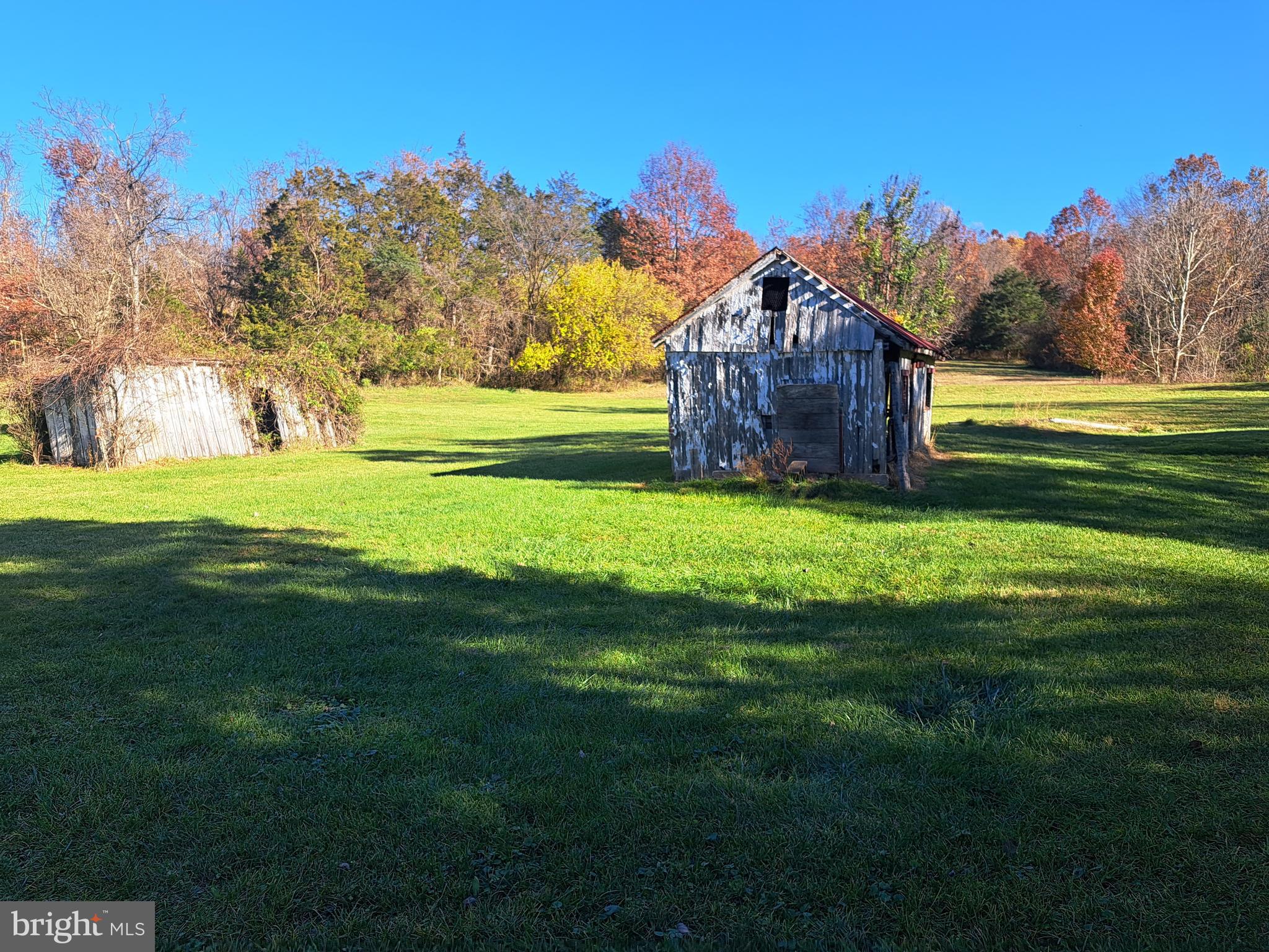 24401 River Road Dickerson, MD 20842 - Photo 41 of 43 a view of a park with large trees