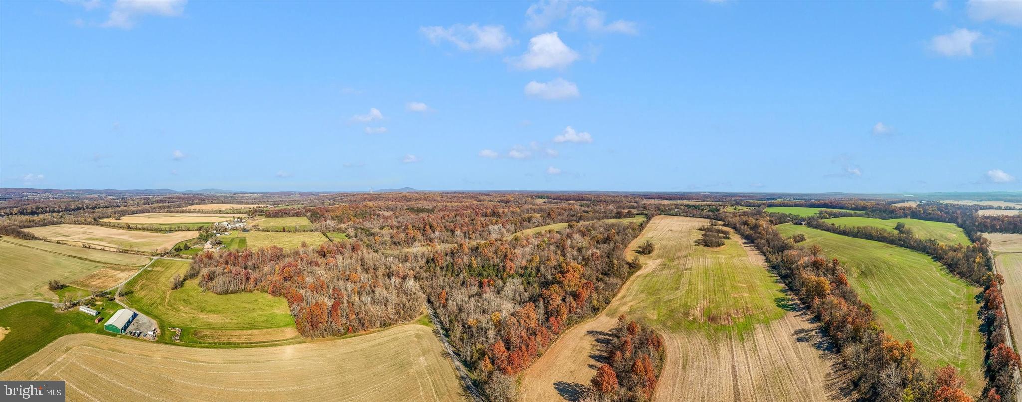 24401 River Road Dickerson, MD 20842 - Photo 8 of 43