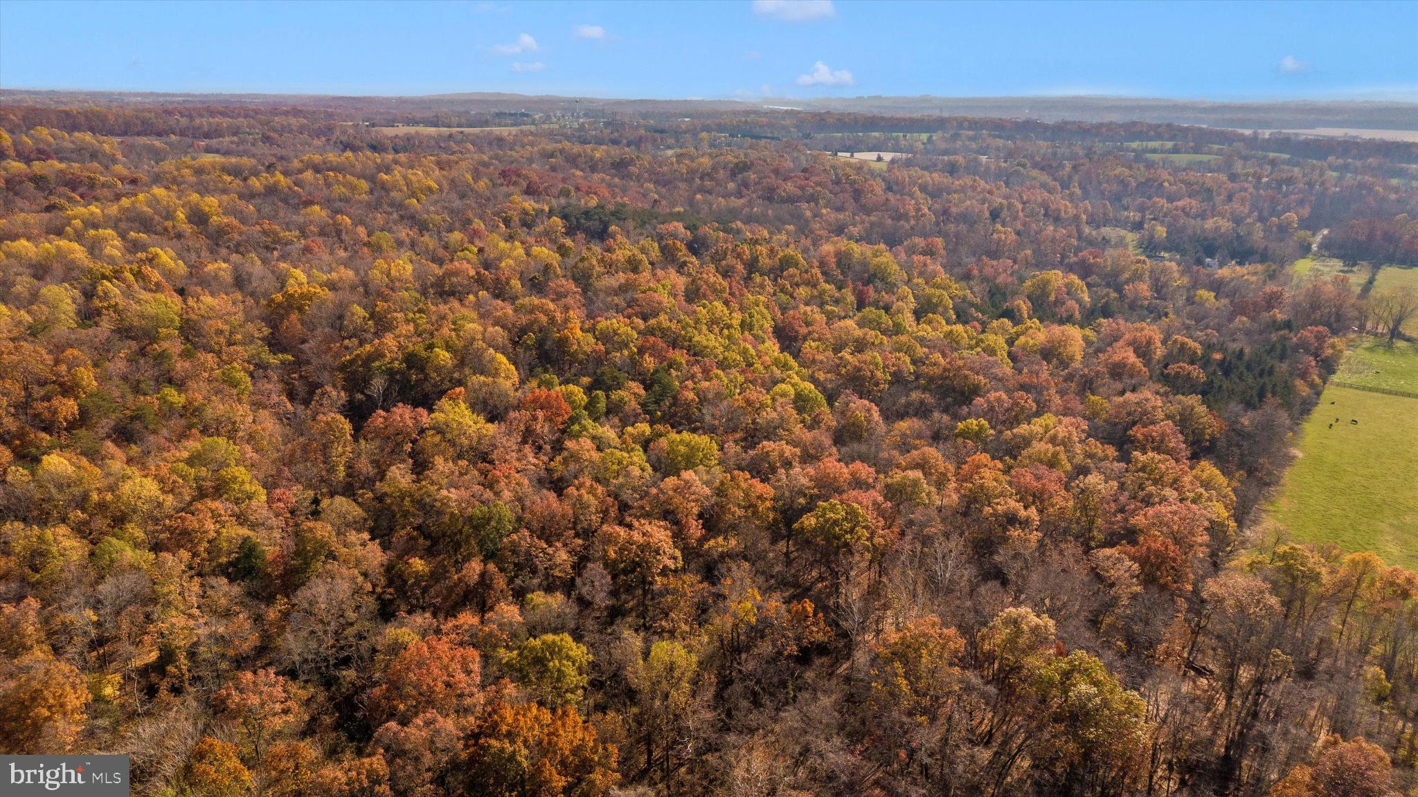 24401 River Road Dickerson, MD 20842 - Photo 9 of 43 a view of city and mountain