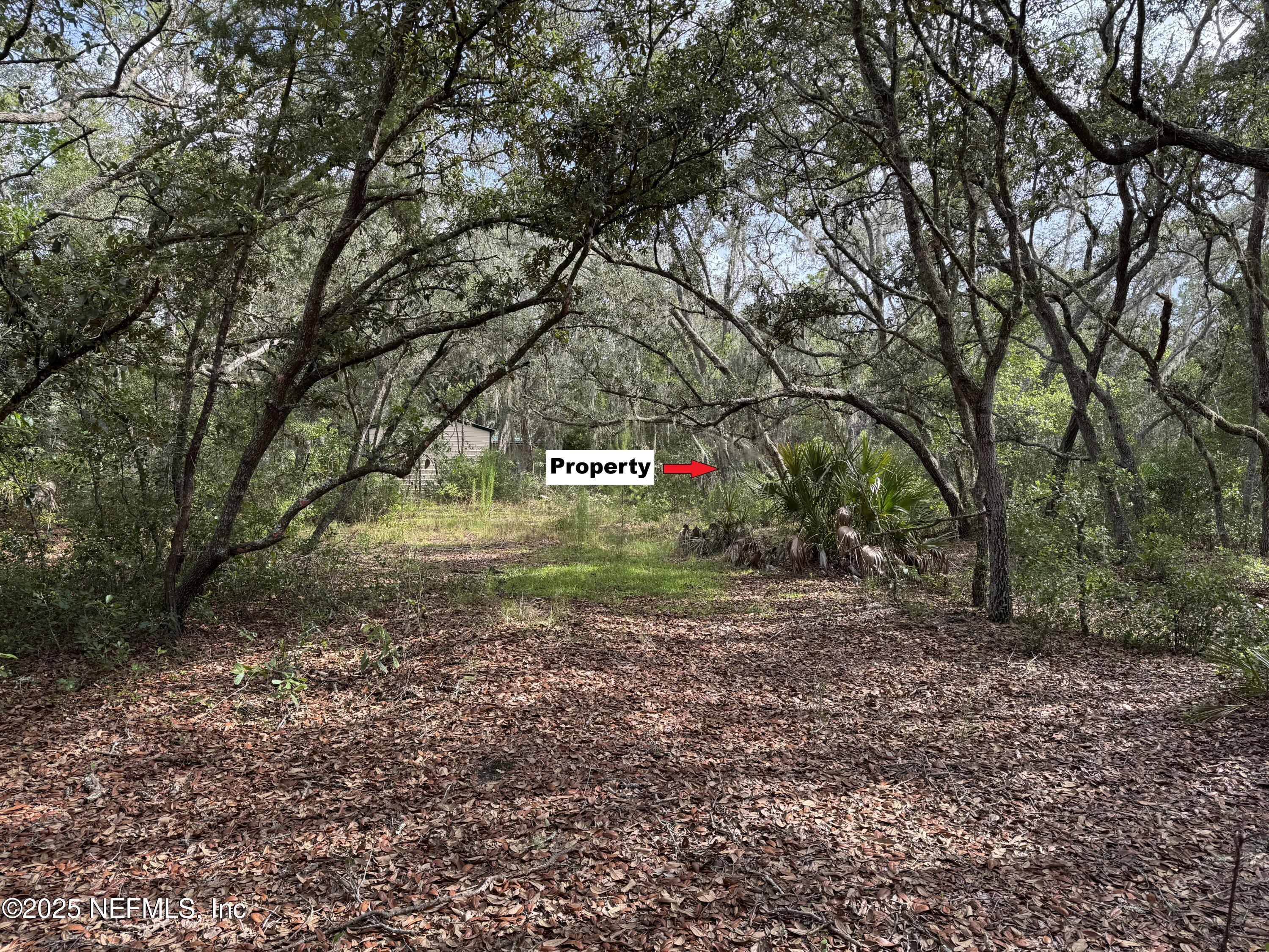 143 Dawson Avenue Interlachen, FL 32148 - Photo 7 of 15 a green field with lots of trees