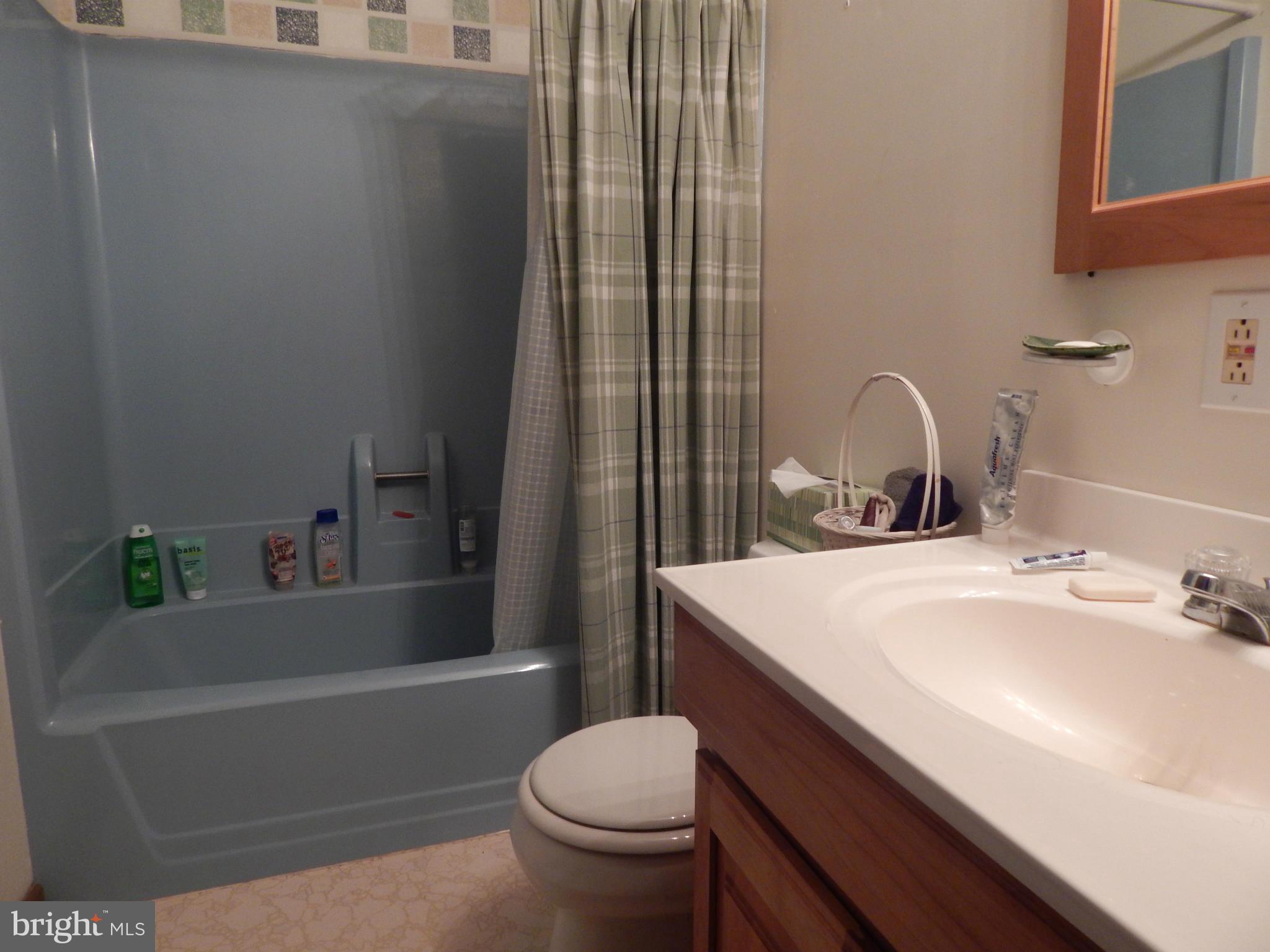10797 Foreston Road Chestertown, MD 21620 - Photo 20 of 25 Bath