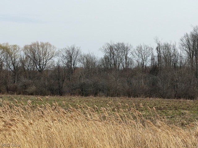 South Madison Road Madison, OH 44057 - Photo 2 of 12