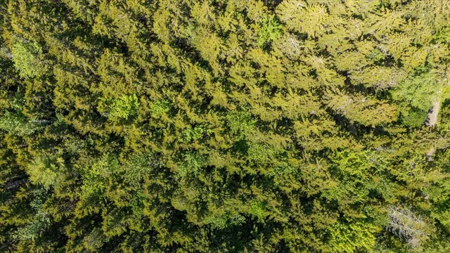 $124,000 | Lot 13 Nahanada Road, New Harbor, ME 04554