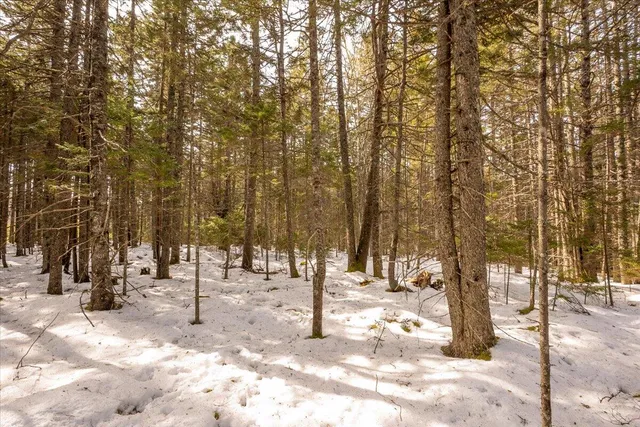 $124,000 | Lot 13 Nahanada Road, New Harbor, ME 04554