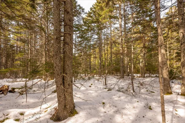 $124,000 | Lot 13 Nahanada Road, New Harbor, ME 04554