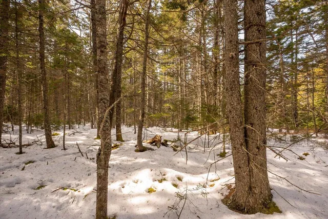 $124,000 | Lot 13 Nahanada Road, New Harbor, ME 04554