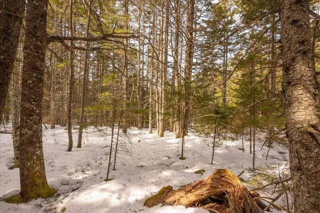 $124,000 | Lot 13 Nahanada Road, New Harbor, ME 04554