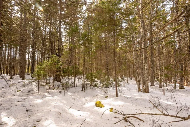 $124,000 | Lot 13 Nahanada Road, New Harbor, ME 04554