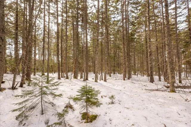 $124,000 | Lot 13 Nahanada Road, New Harbor, ME 04554