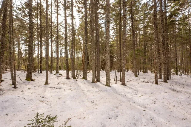 $110,000 | Lot 13 Nahanada Road, New Harbor, ME 04554