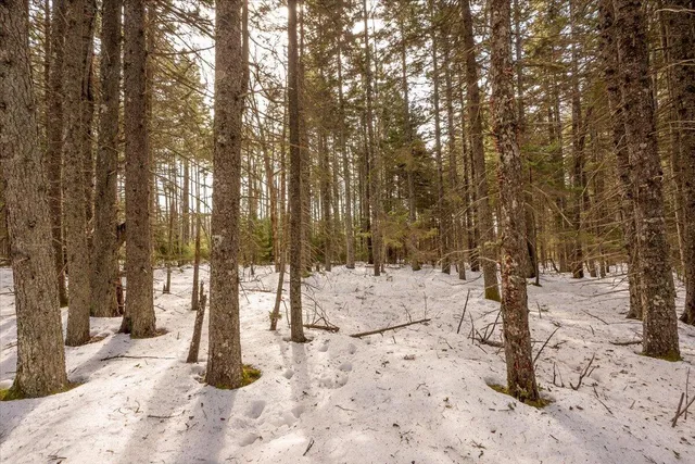 $124,000 | Lot 13 Nahanada Road, New Harbor, ME 04554
