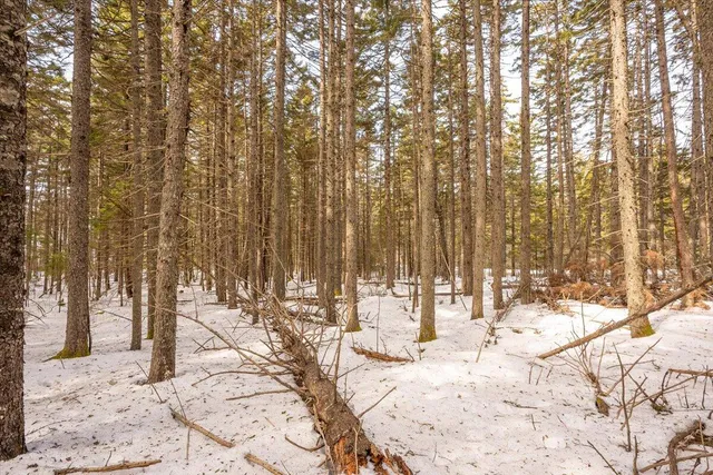 $124,000 | Lot 13 Nahanada Road, New Harbor, ME 04554
