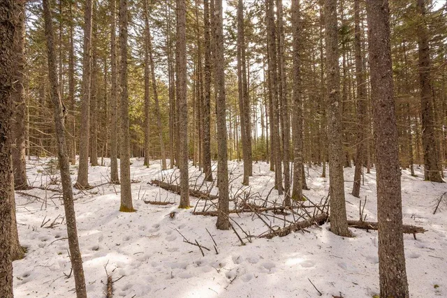 $124,000 | Lot 13 Nahanada Road, New Harbor, ME 04554