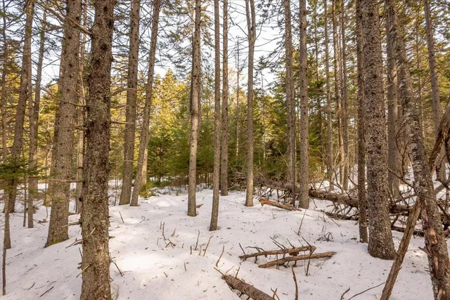 $124,000 | Lot 13 Nahanada Road, New Harbor, ME 04554