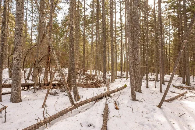 $124,000 | Lot 13 Nahanada Road, New Harbor, ME 04554