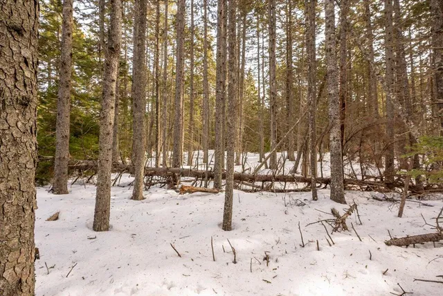 $124,000 | Lot 13 Nahanada Road, New Harbor, ME 04554