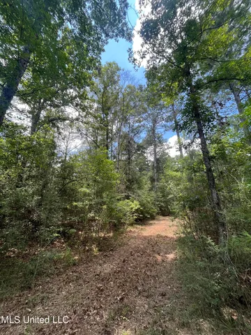$735,000 | Nolan Felder Road, Magnolia, MS 39652