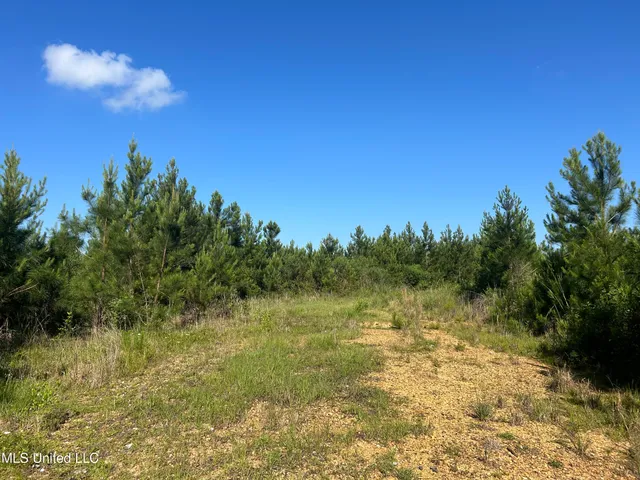 $735,000 | Nolan Felder Road, Magnolia, MS 39652