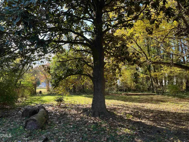 a view of yard with green space