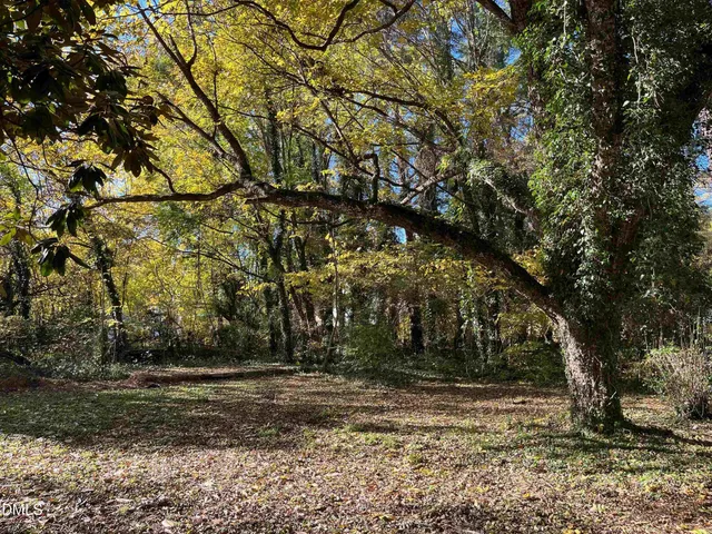 a view of backyard space