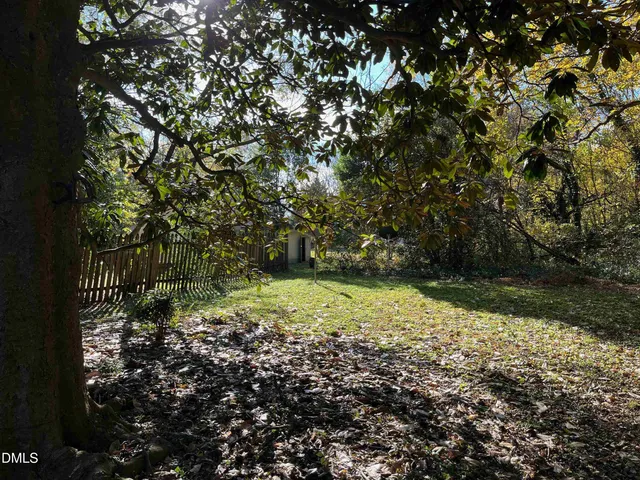 a view of a tree with a yard
