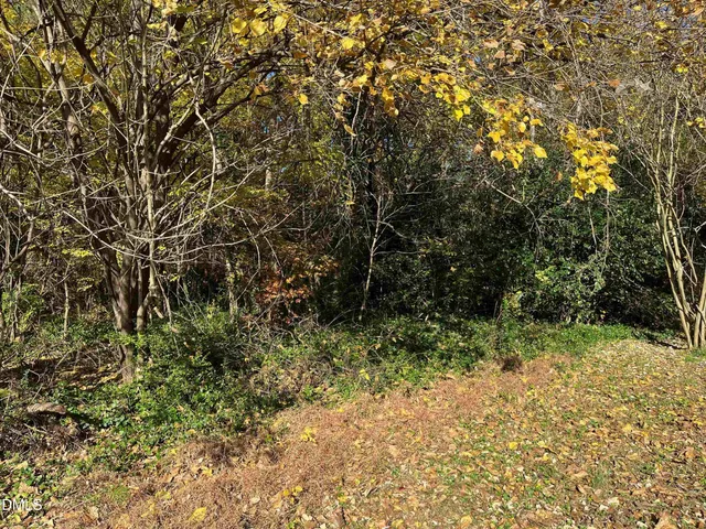 a view of a yard with a tree