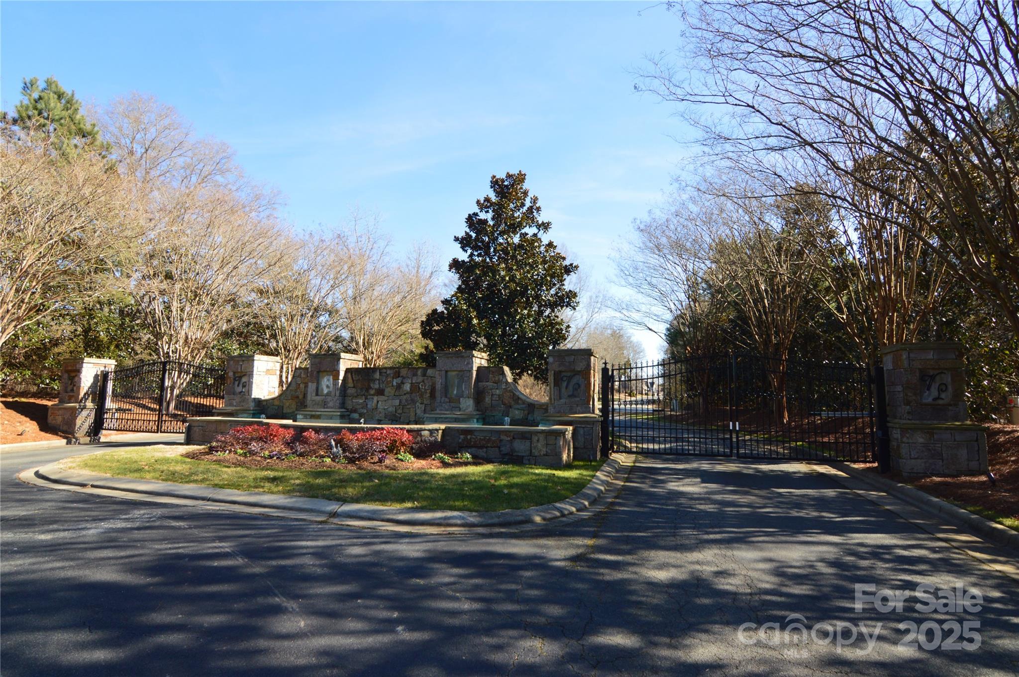 a view of a park with large trees
