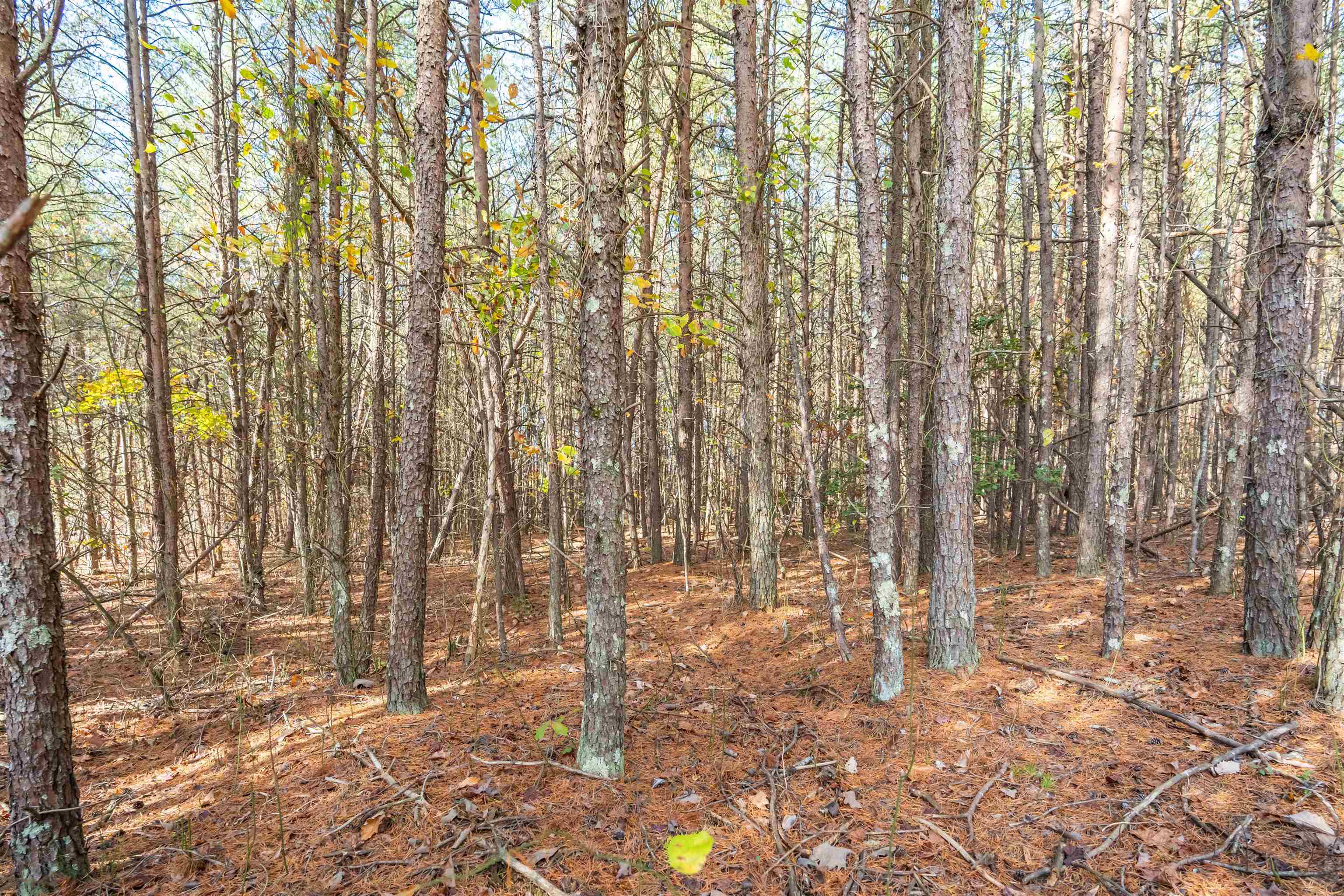 1940 Pleasant Hill Road Greer, SC 29651 - Photo 3 of 18