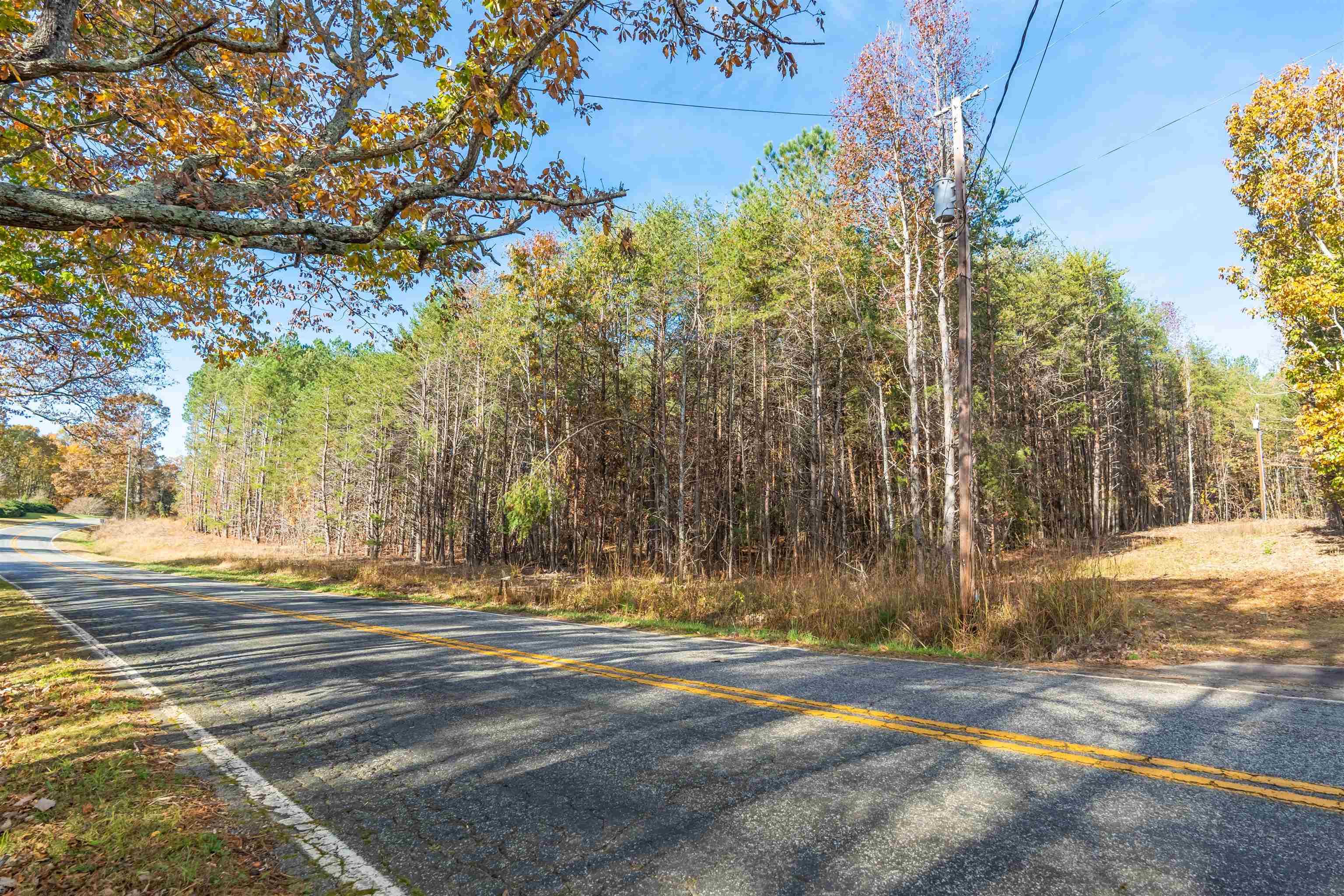 1940 Pleasant Hill Road Greer, SC 29651 - Photo 4 of 18