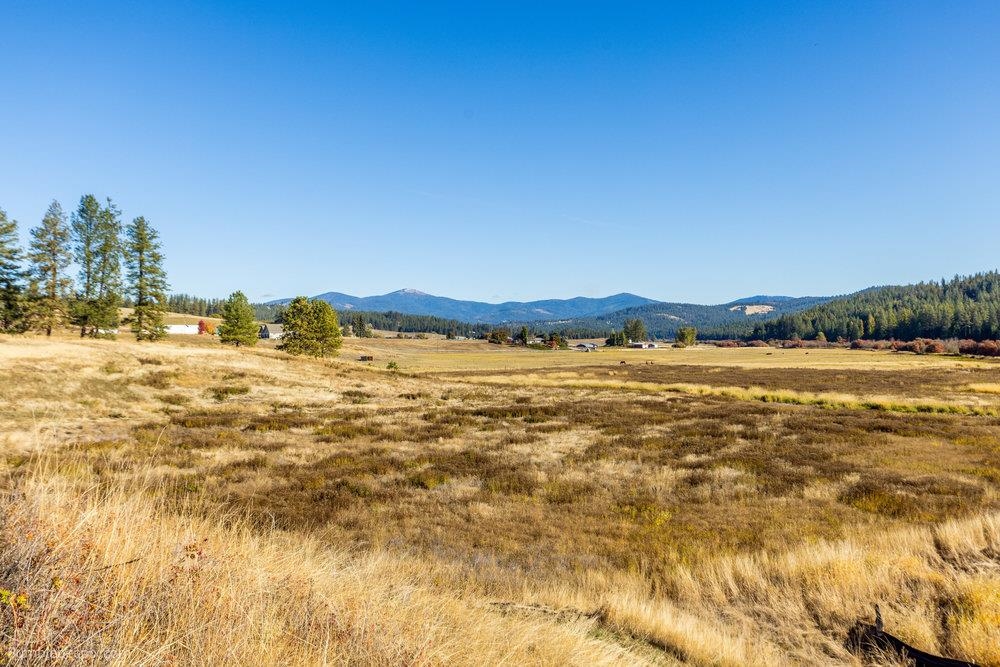 13-xxx Peone Road Mead, WA 99021 - Photo 14 of 25