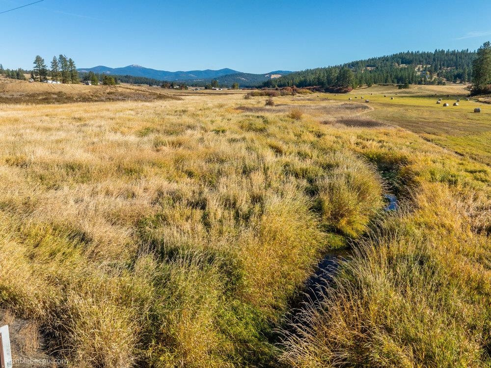 13-xxx Peone Road Mead, WA 99021 - Photo 15 of 25