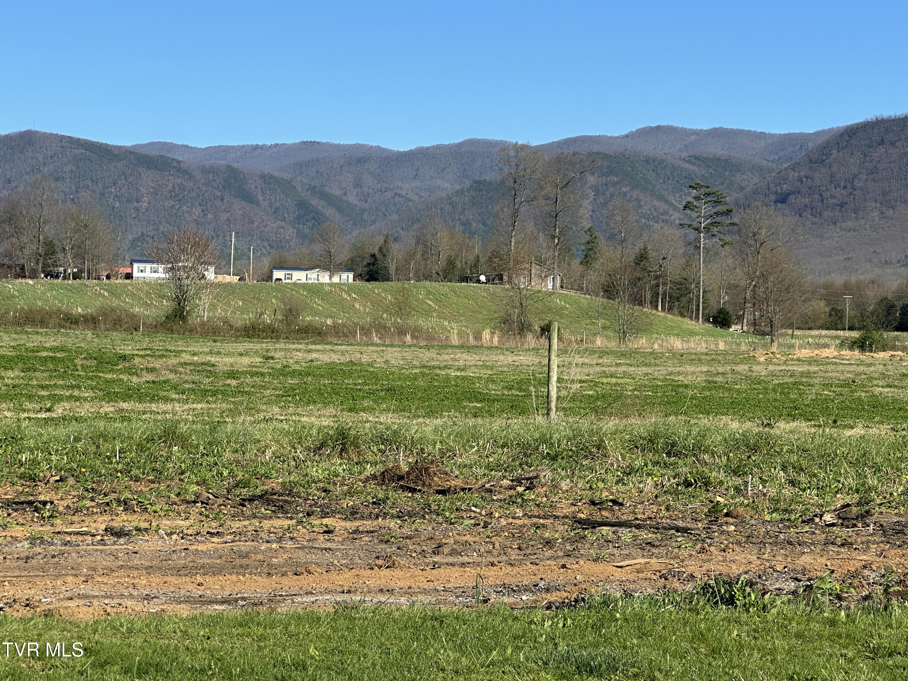 1173 Camp Creek Road Greeneville, TN 37743 - Photo 27 of 42 IMG_3121 (1)