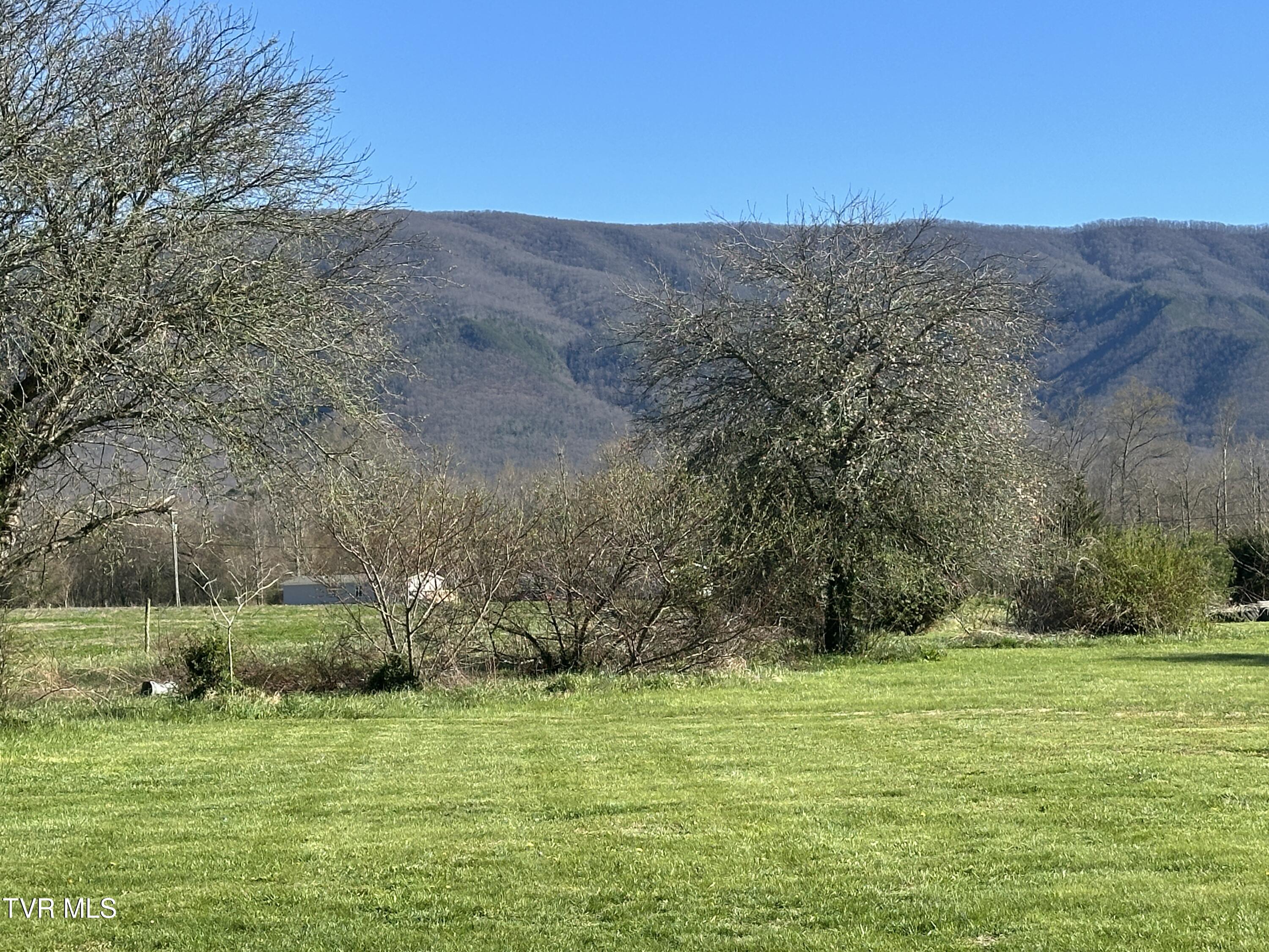 1173 Camp Creek Road Greeneville, TN 37743 - Photo 32 of 42 IMG_3119 (1)