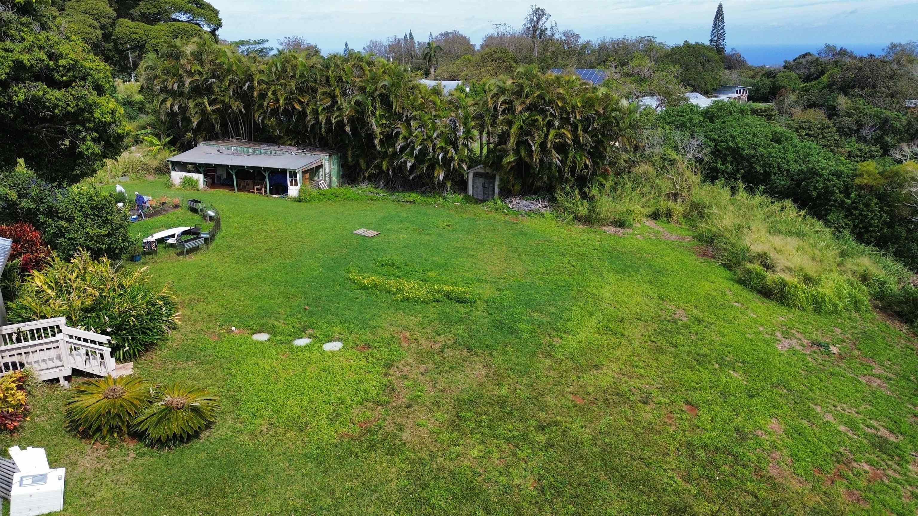 2615 Kaupakalua Road Haiku, HI 96708 - Photo 3 of 47 Backyard of the property