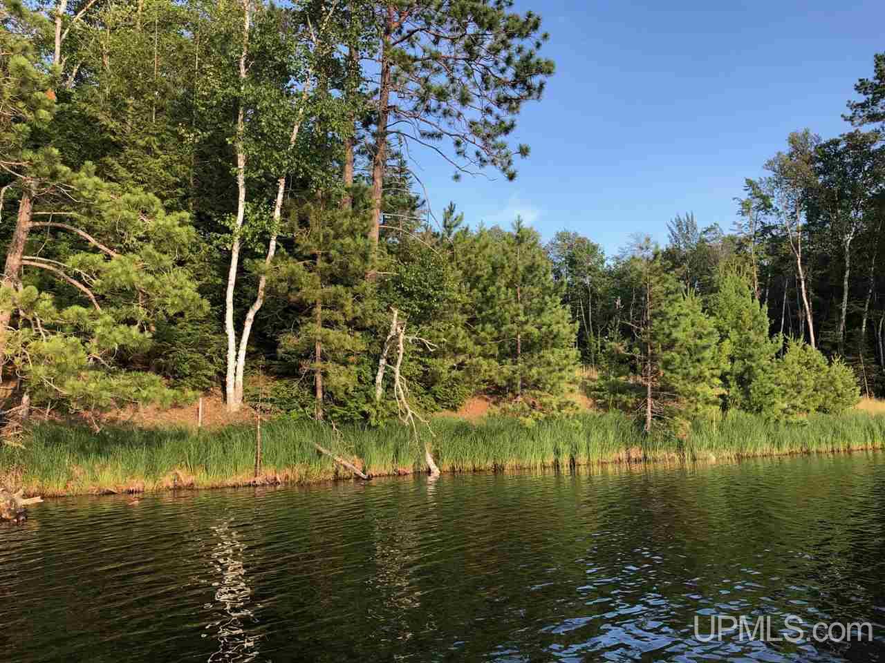 14665 Mahskeekee Lake 33 Rd (co Rd 442) Wetmore, MI 49895 - Photo 5 of 9
