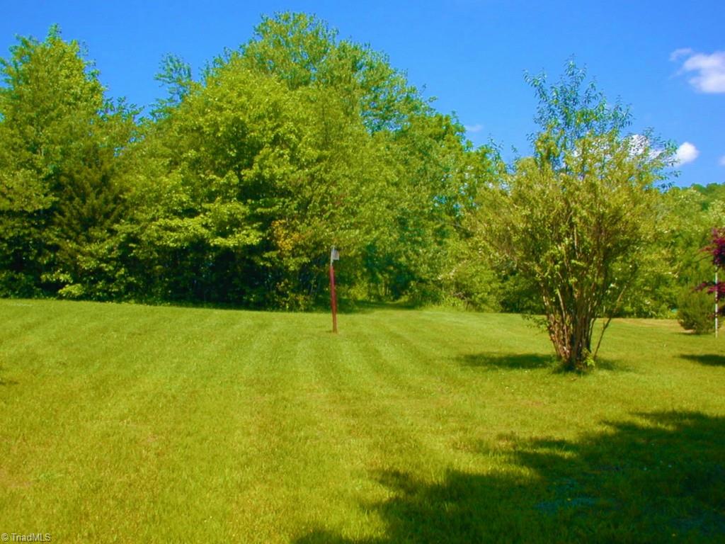 5725 Old Rural Hall Road Winston-Salem, NC 27105 - Photo 23 of 23 Back Yard