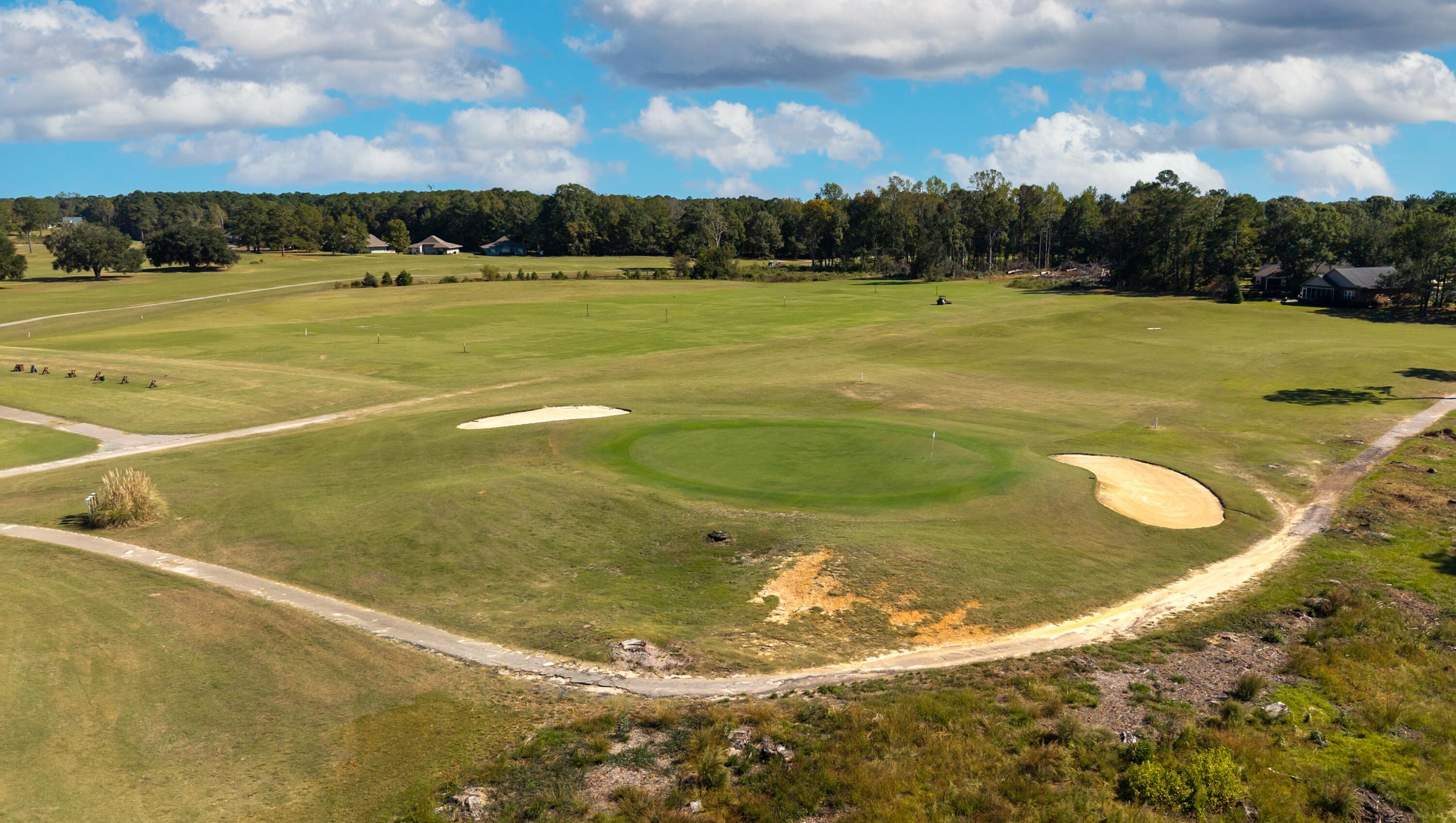 830 Bentwood Circle Manning, SC 29102 - Photo 45 of 60 NUMBER 9 GREEN