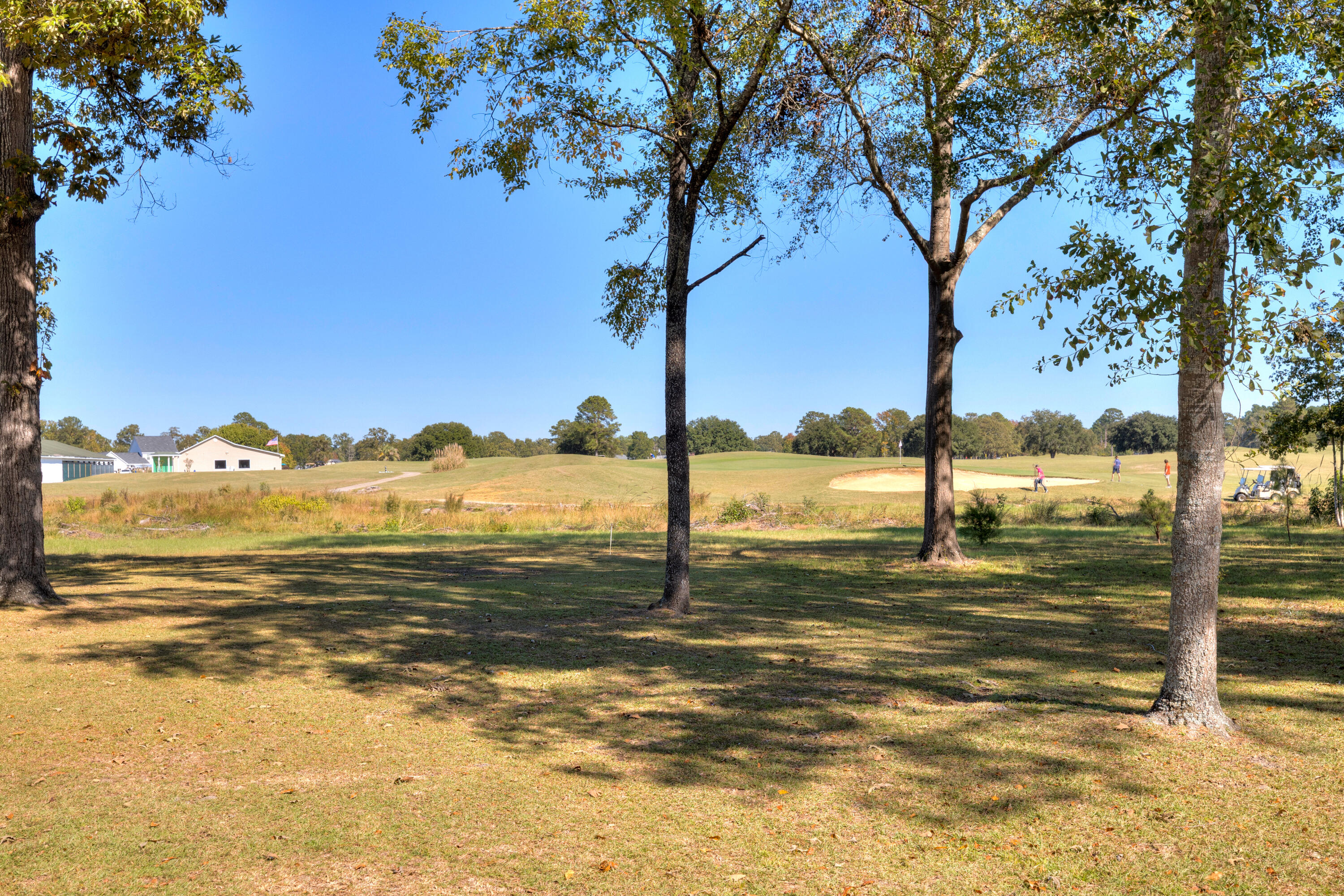 830 Bentwood Circle Manning, SC 29102 - Photo 8 of 60 VIEW OF THE NUMBER 9 GREEN