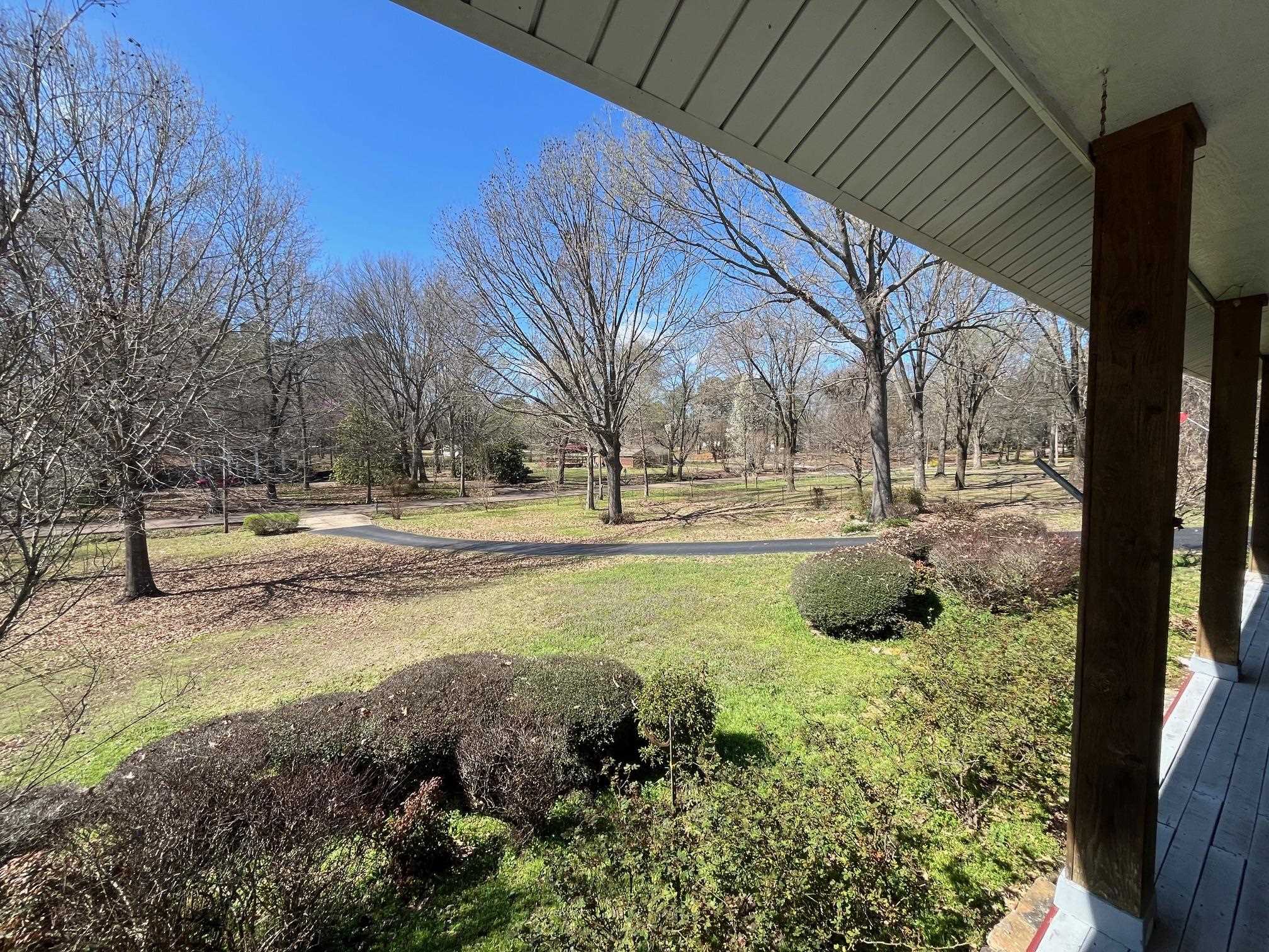 4161 Lucy Road Millington, TN 38053 - Photo 6 of 24 View of grassy yard with view of scattered trees