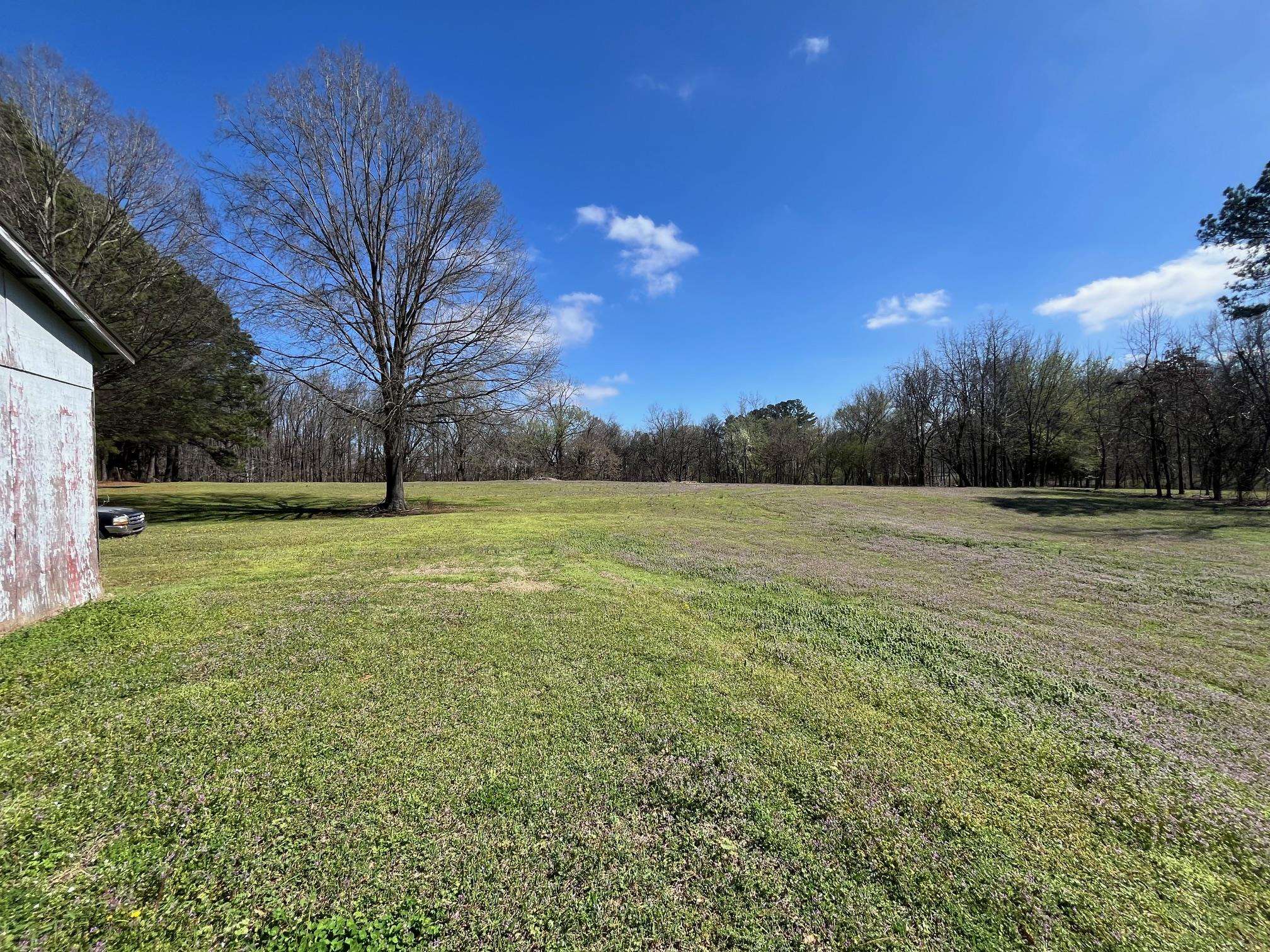 4161 Lucy Road Millington, TN 38053 - Photo 7 of 24 View of green lawn