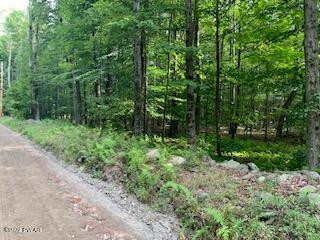 Kilgore Road Newfoundland, PA 18445 - Photo 6 of 7