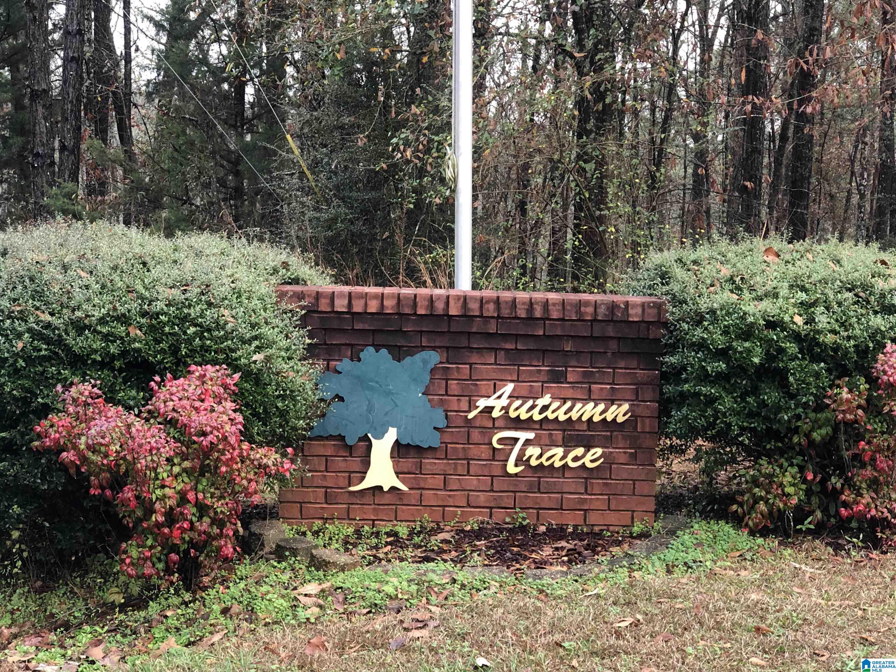 0 Autumn Ridge Trail, Unit 26 Pell City, AL 35128 - Photo 2 of 31