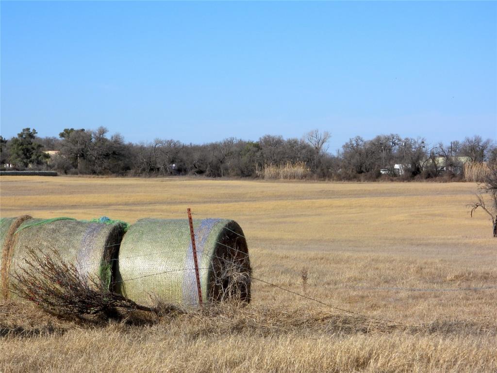 0 County Road 438 Rising Star, TX 76471 - Photo 12 of 33