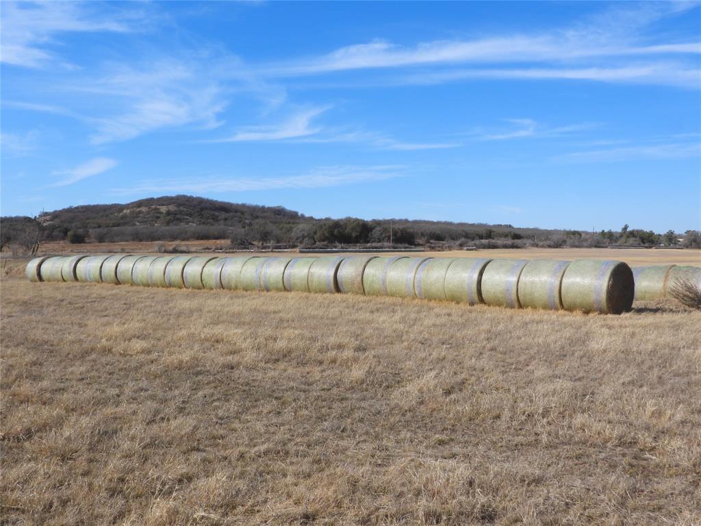 0 County Road 438 Rising Star, TX 76471 - Photo 13 of 33