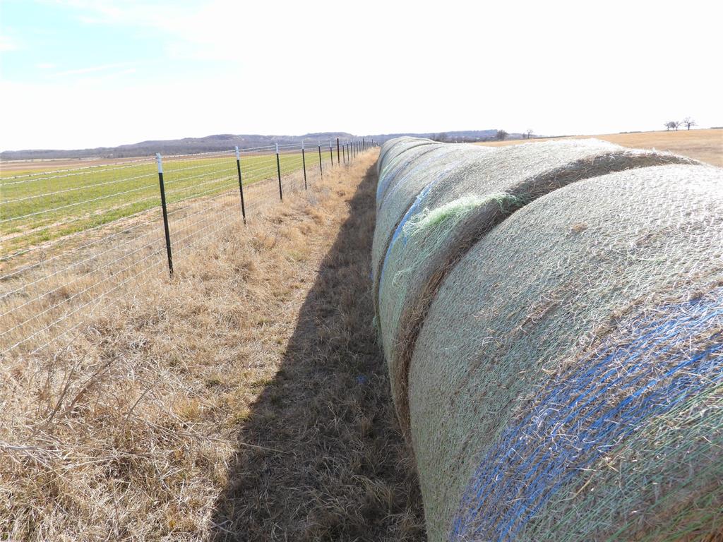 0 County Road 438 Rising Star, TX 76471 - Photo 16 of 33